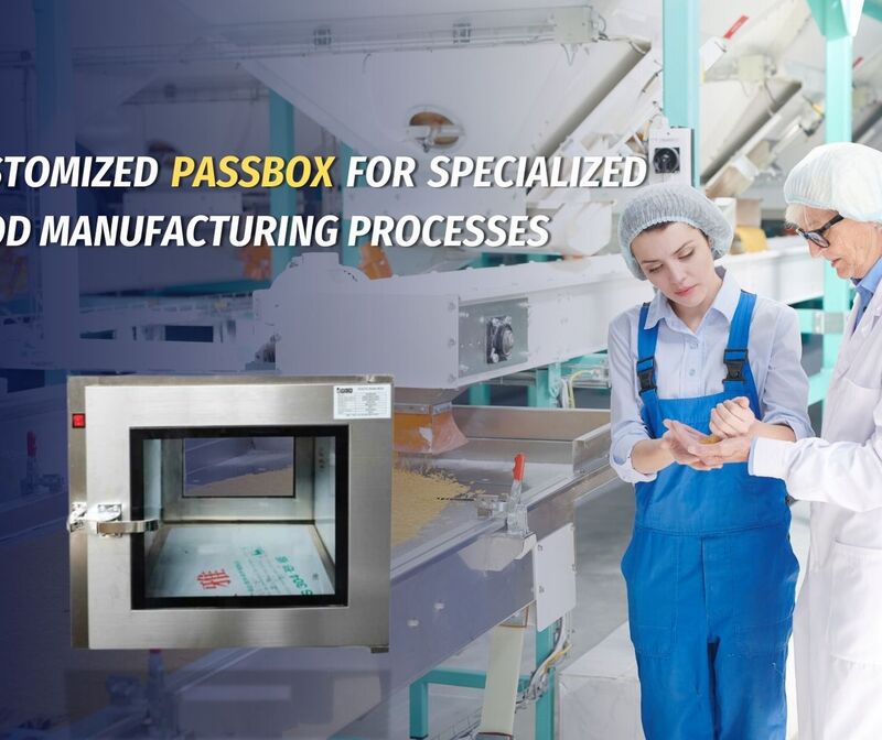 Customized Passbox for Specialized Food Manufacturing Processes